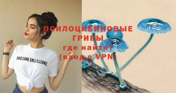 мдпв Волосово