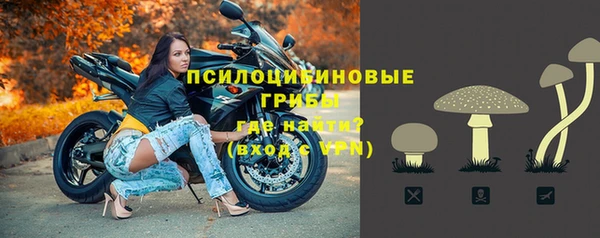 мдпв Волосово