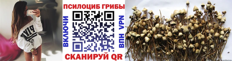 Галлюциногенные грибы GOLDEN TEACHER  OMG ONION  Кадников 