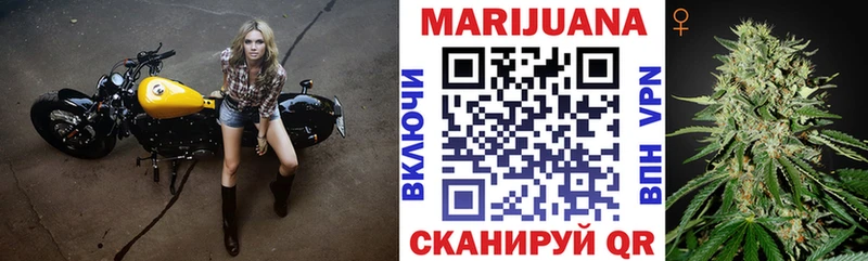 Бошки марихуана THC 21%  купить наркотик  Кадников 